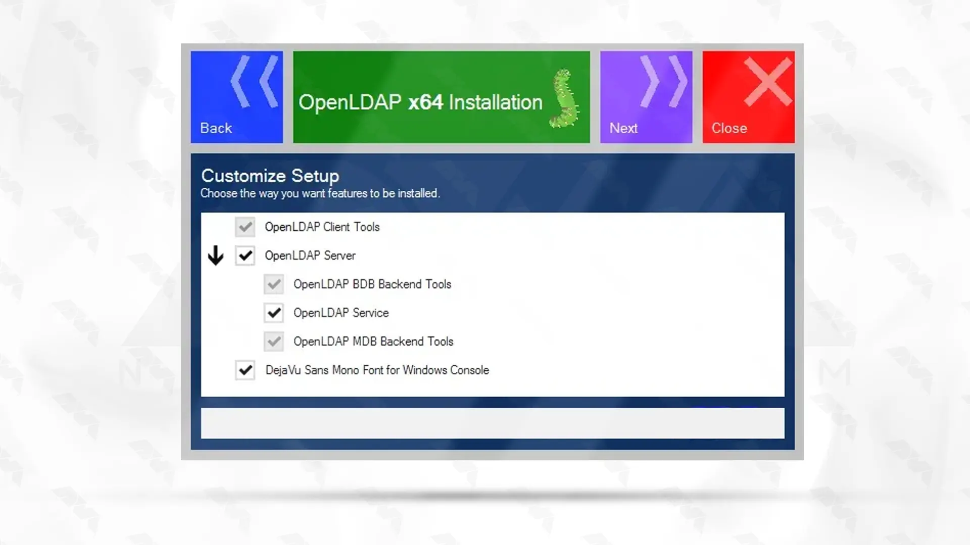 openldap_installation_features