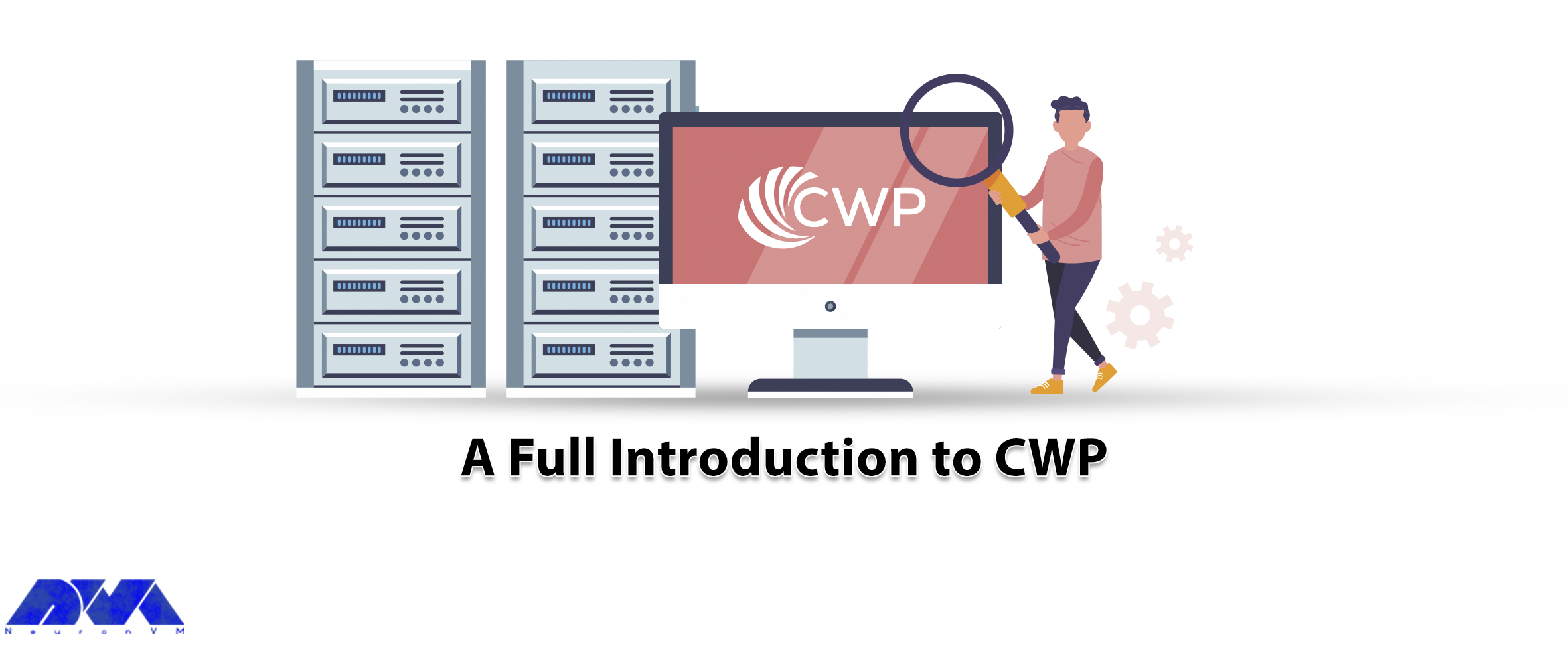 A Full Introduction to CWP - NeuronVM