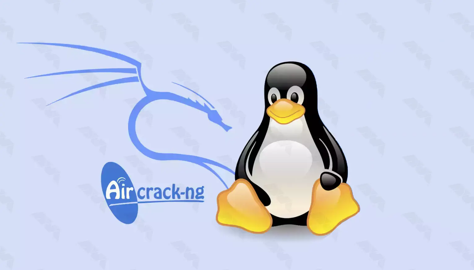 A security tool for penetration testing - How to Install Aircrack-ng on Kali Linux