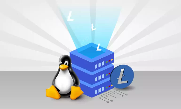 The Smart Guide to Purchasing Linux VPS with LTC - NeuronVM